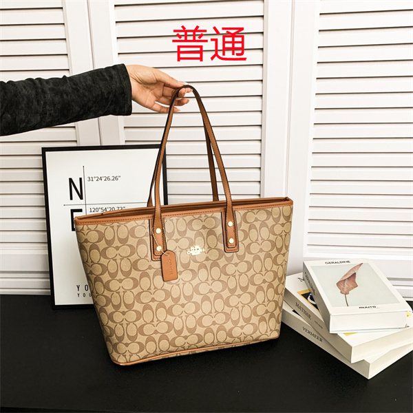 Coach bag-0574