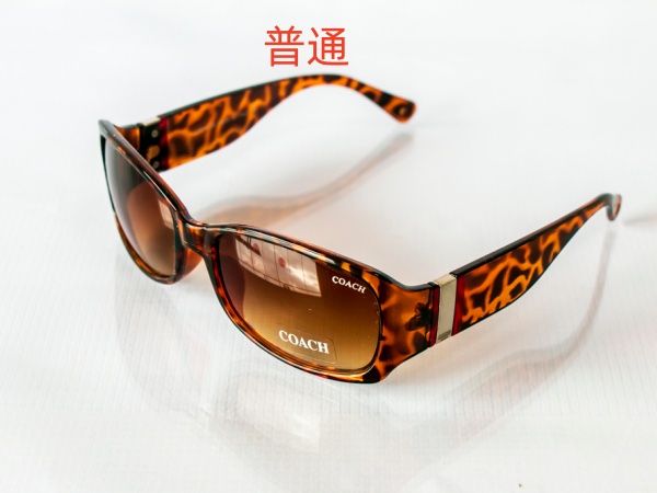 COACH-Sunglass-0013