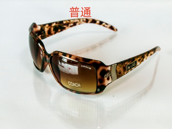 COACH-Sunglass-0028
