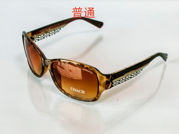 COACH-Sunglass-0033