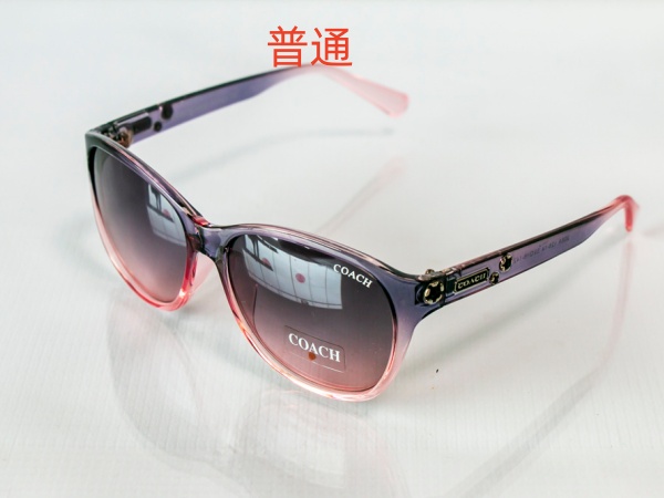 COACH-Sunglass-0038
