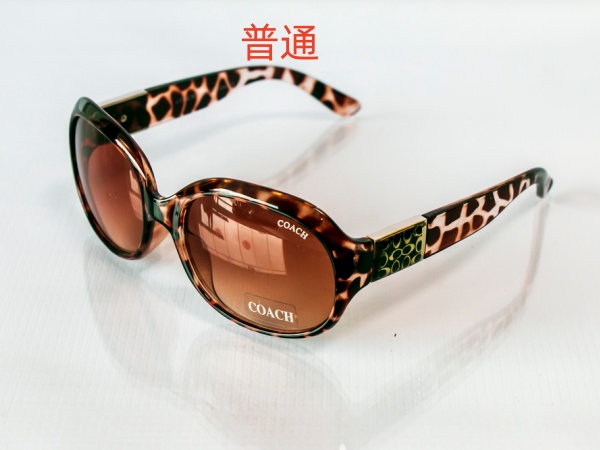 COACH-Sunglass-0044