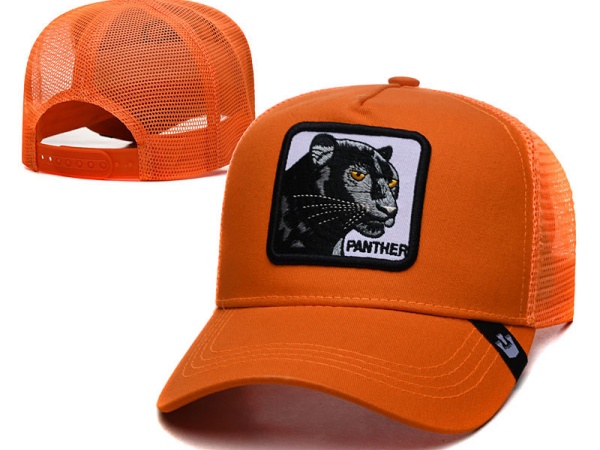 Cartoon style Snapbacks-0028