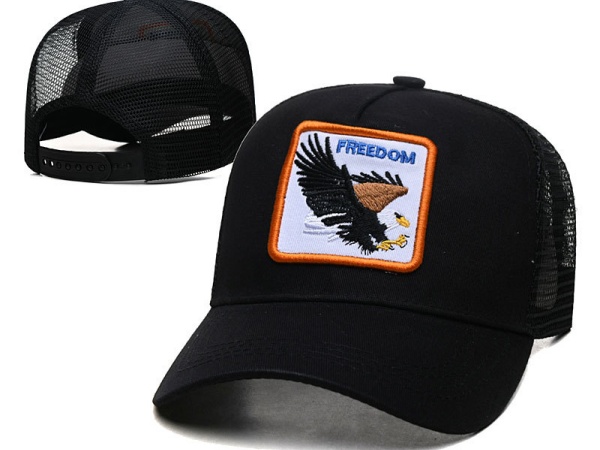 Cartoon style Snapbacks-0076