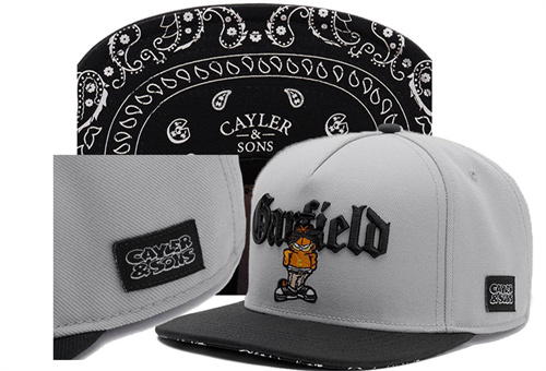 Cayler&Sons Snapbacks-0198