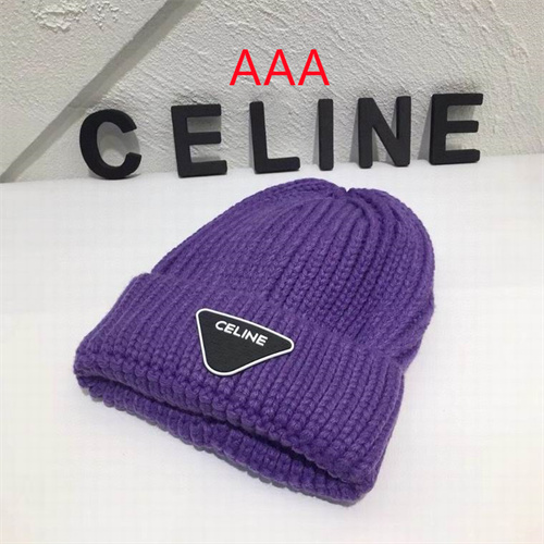Celine Beanies(AAA)-012