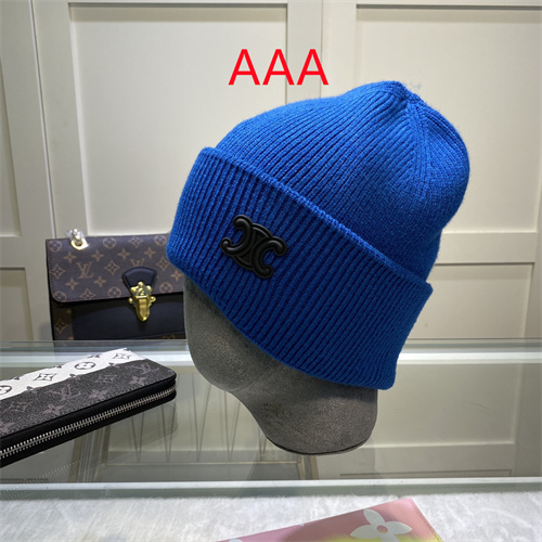 Celine Beanies(AAA)-048