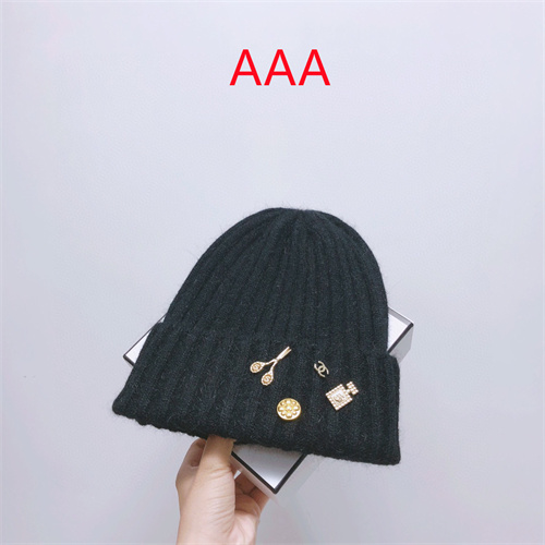 Chanel Beanies(AAA)-059