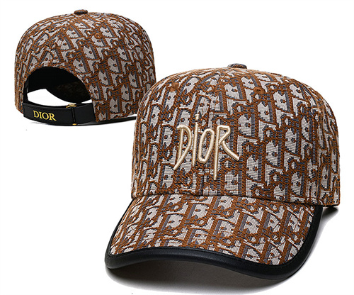 Dior Snapbacks-0001