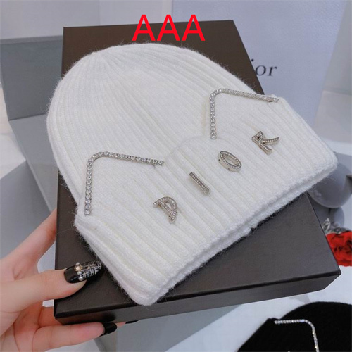 Dior Beanies(AAA)-001