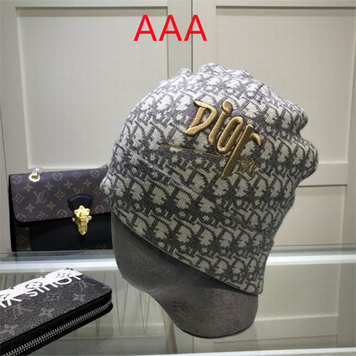 Dior Beanies(AAA)-016