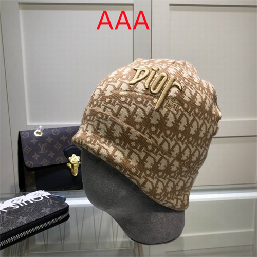 Dior Beanies(AAA)-017