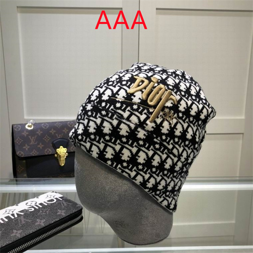 Dior Beanies(AAA)-018