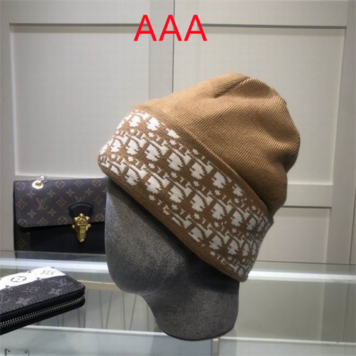 Dior Beanies(AAA)-024