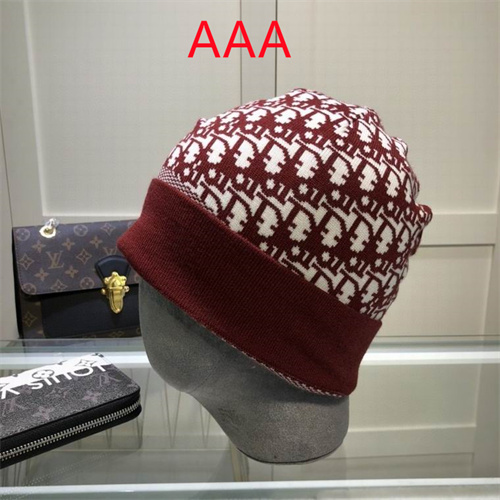 Dior Beanies(AAA)-030