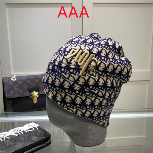 Dior Beanies(AAA)-049