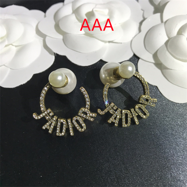 Dior Earrings-101