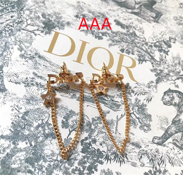 Dior Earrings-106