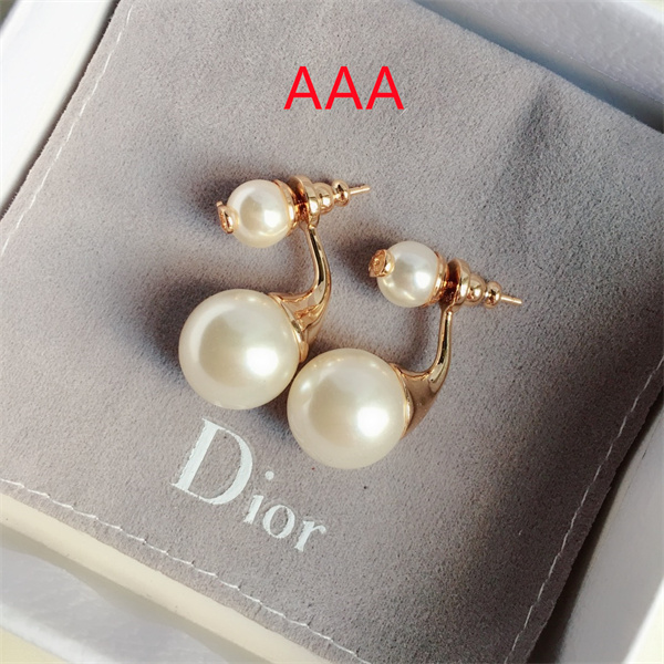 Dior Earrings-115