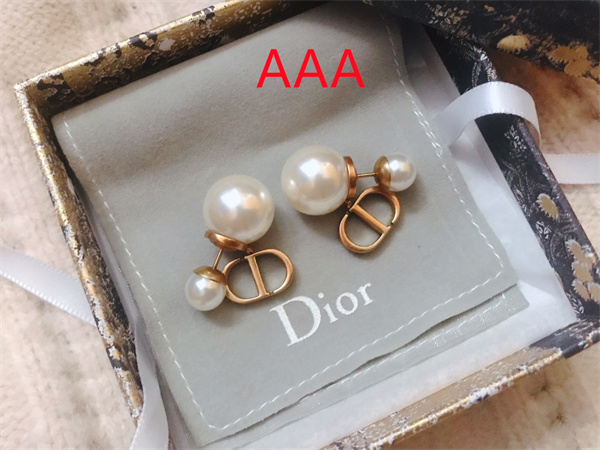 Dior Earrings-116