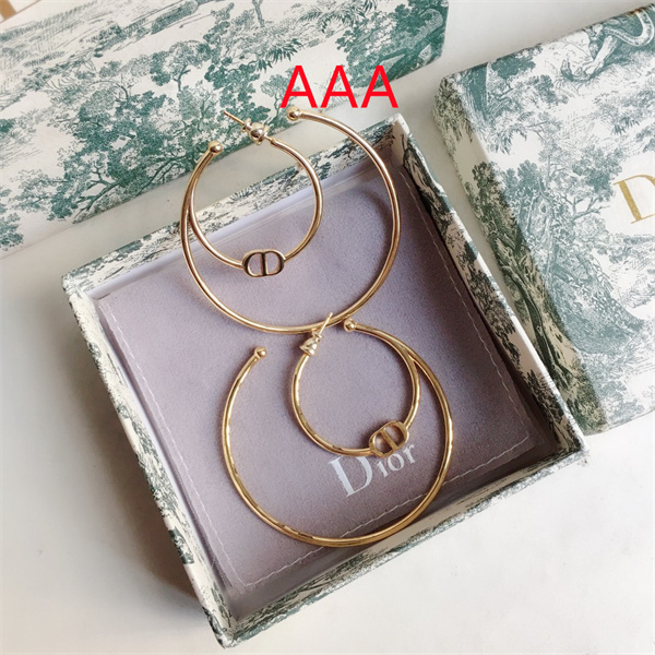 Dior Earrings-120