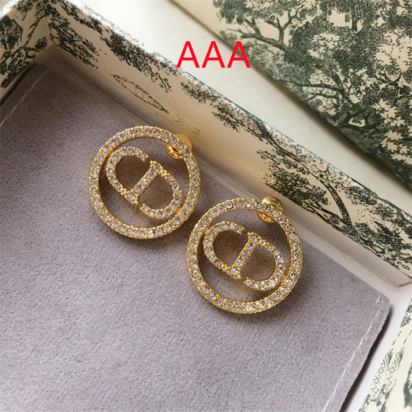 Dior Earrings-124