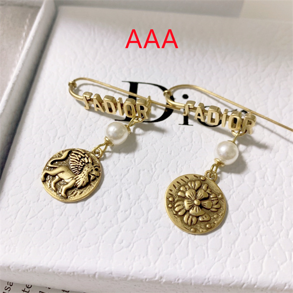 Dior Earrings-126