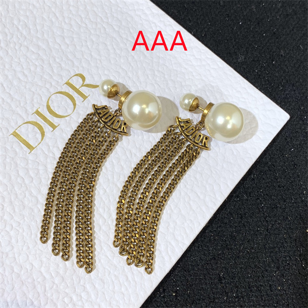 Dior Earrings-127