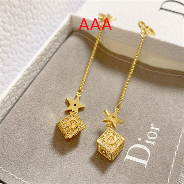 Dior Earrings-129