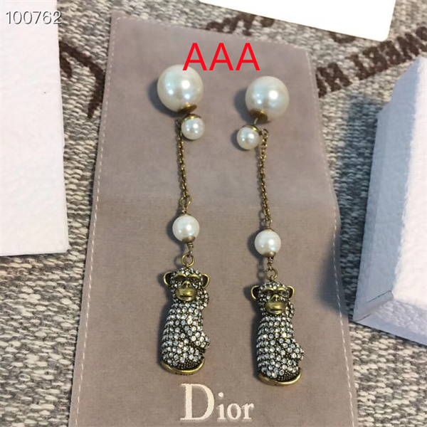 Dior Earrings-013
