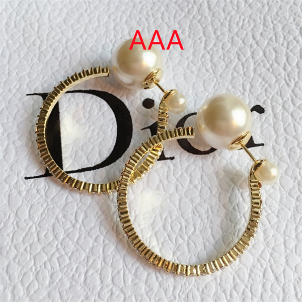 Dior Earrings-131