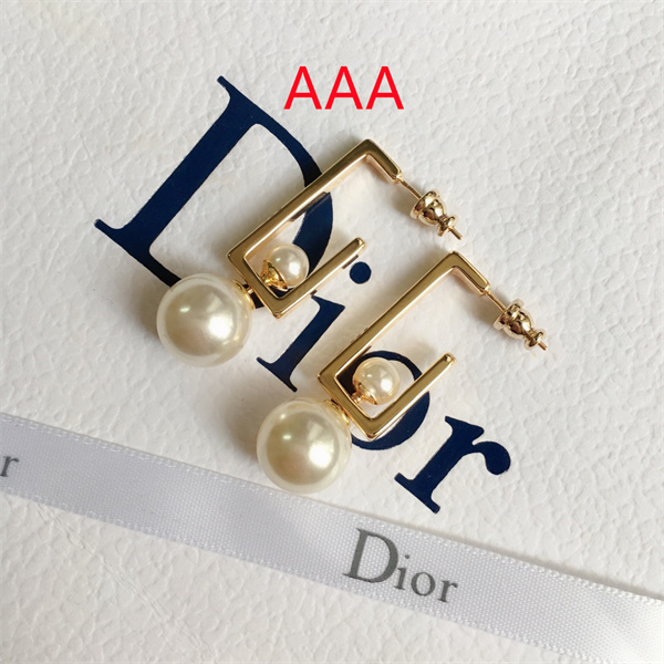 Dior Earrings-132