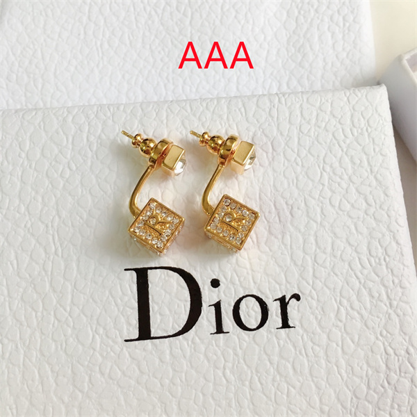 Dior Earrings-137