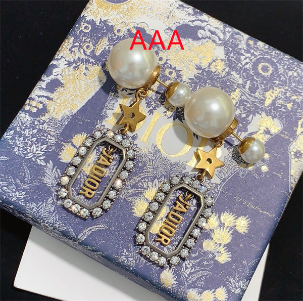 Dior Earrings-138