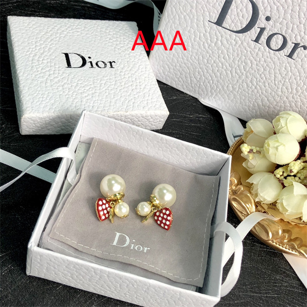 Dior Earrings-147
