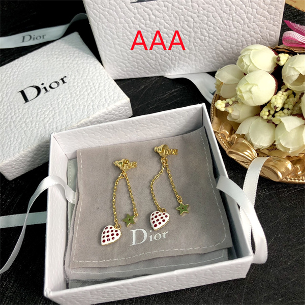 Dior Earrings-148