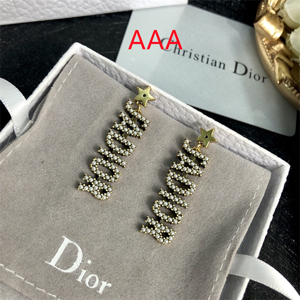 Dior Earrings-151