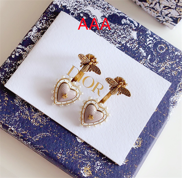Dior Earrings-153