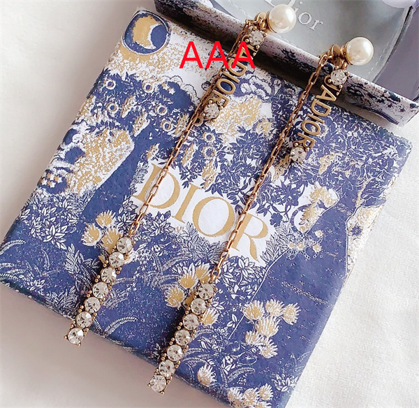 Dior Earrings-156