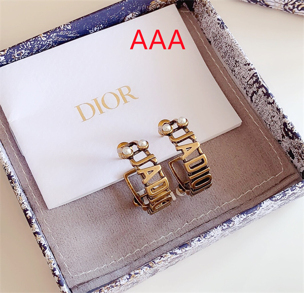 Dior Earrings-157