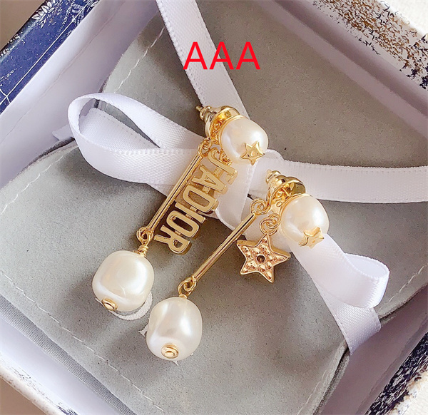 Dior Earrings-162