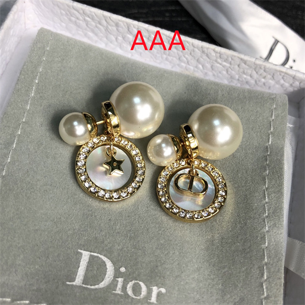 Dior Earrings-164