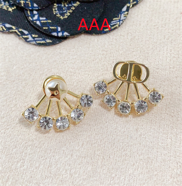 Dior Earrings-173