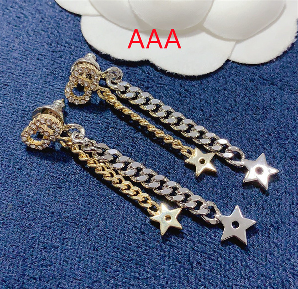 Dior Earrings-174