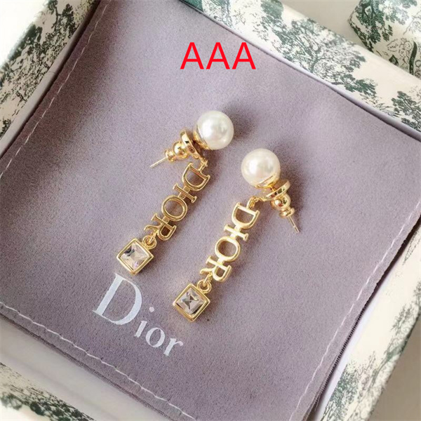Dior Earrings-175