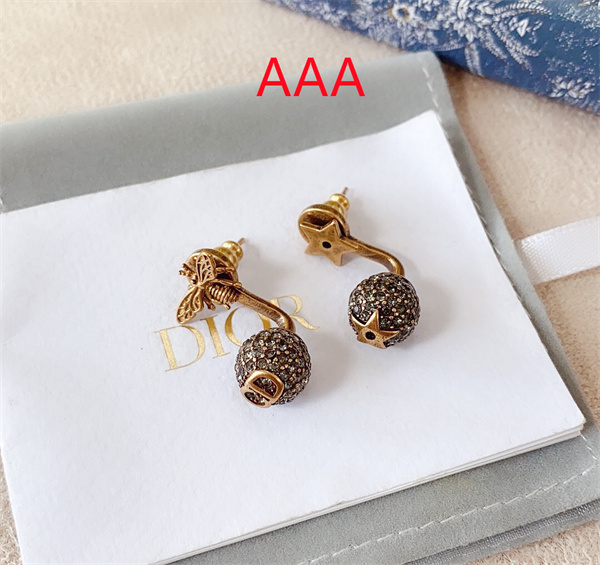 Dior Earrings-178