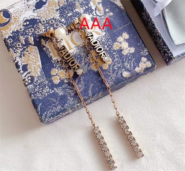 Dior Earrings-179
