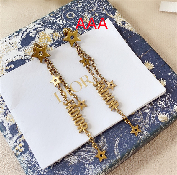 Dior Earrings-186