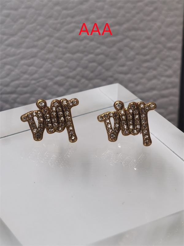 Dior Earrings-201
