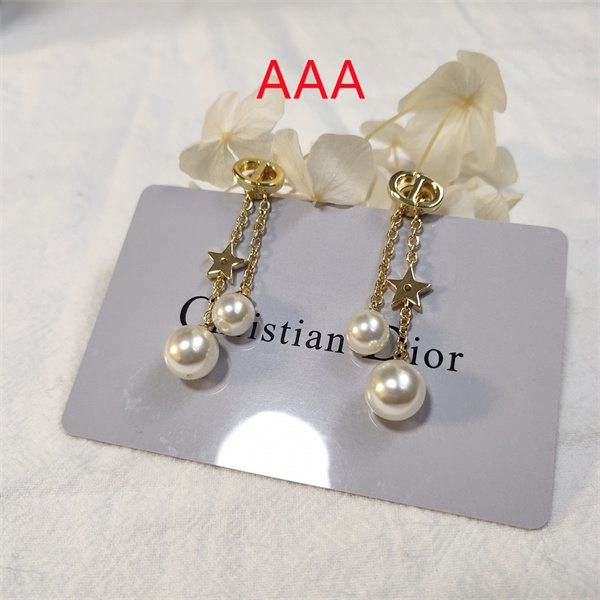 Dior Earrings-207